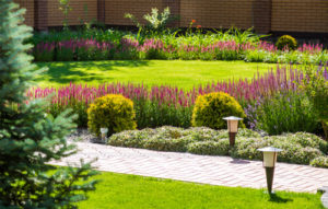 Landscaping Services Crewe, Cheshire